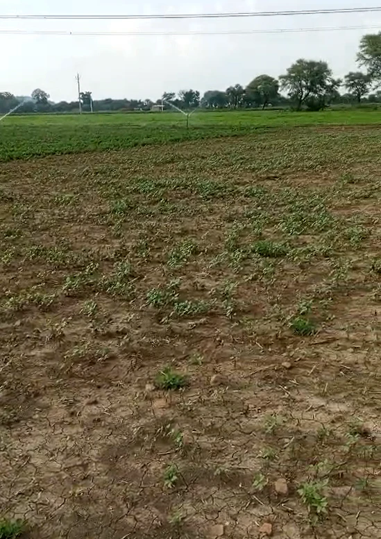 5G8V+XC, Mahoba, Ragaulli, Madhya Pradesh 210423, India