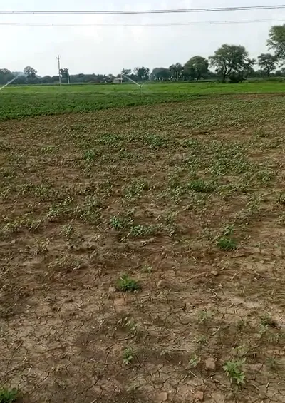5G8V+XC, Mahoba, Ragaulli, Madhya Pradesh 210423, India preview 3