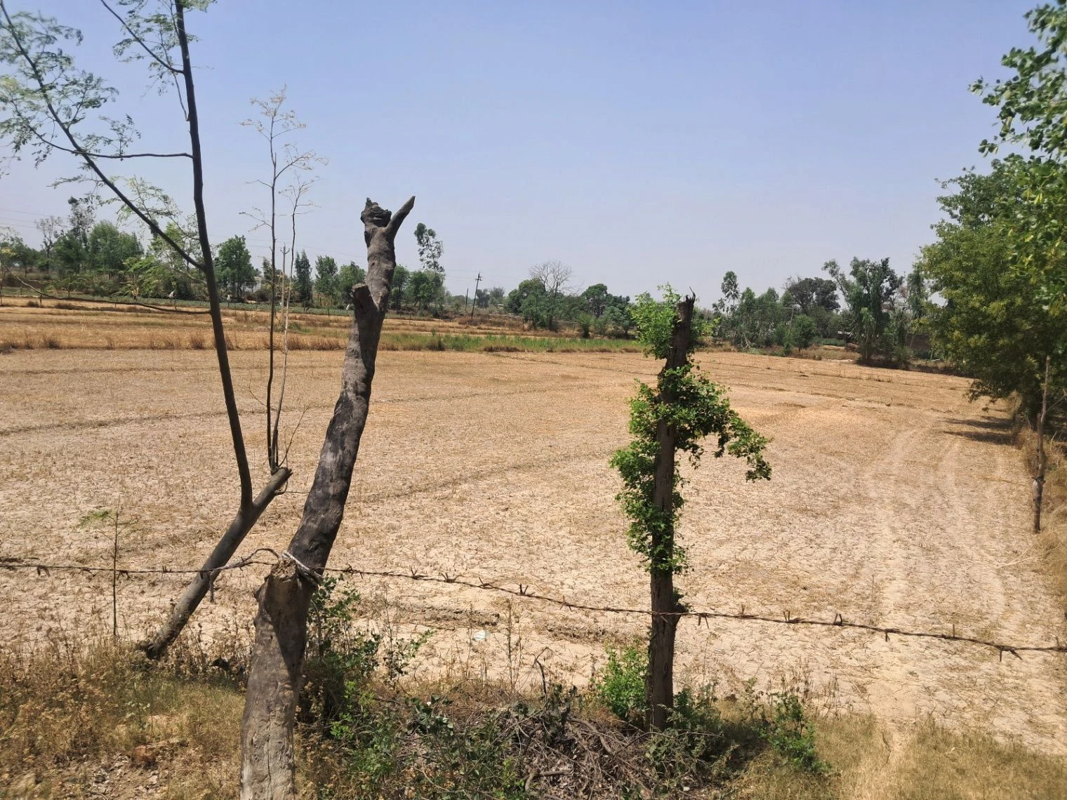 Poora Kalandar Thana - Billaharghat Road, Abanpur Saroha, Arwawa, Uttar Pradesh 224201, India