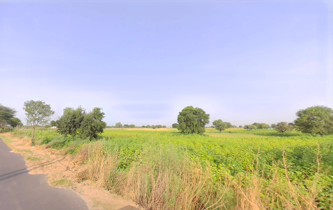 Jant, Haryana, India