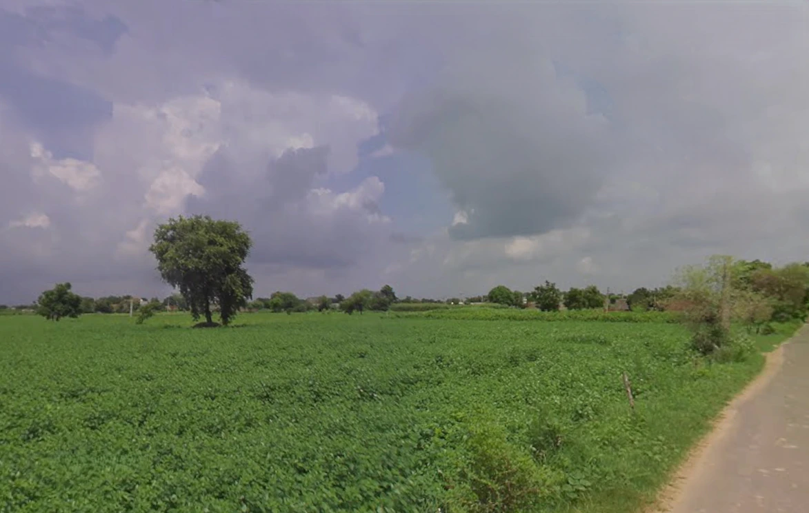 Chaudhariwas, Haryana 125007, India