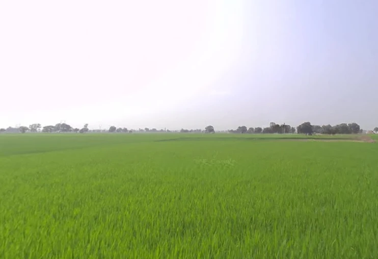 Lalru, Punjab, India