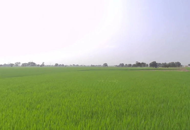 Lalru, Punjab, India