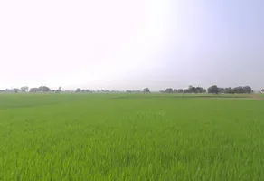 Lalru, Punjab, India preview 2