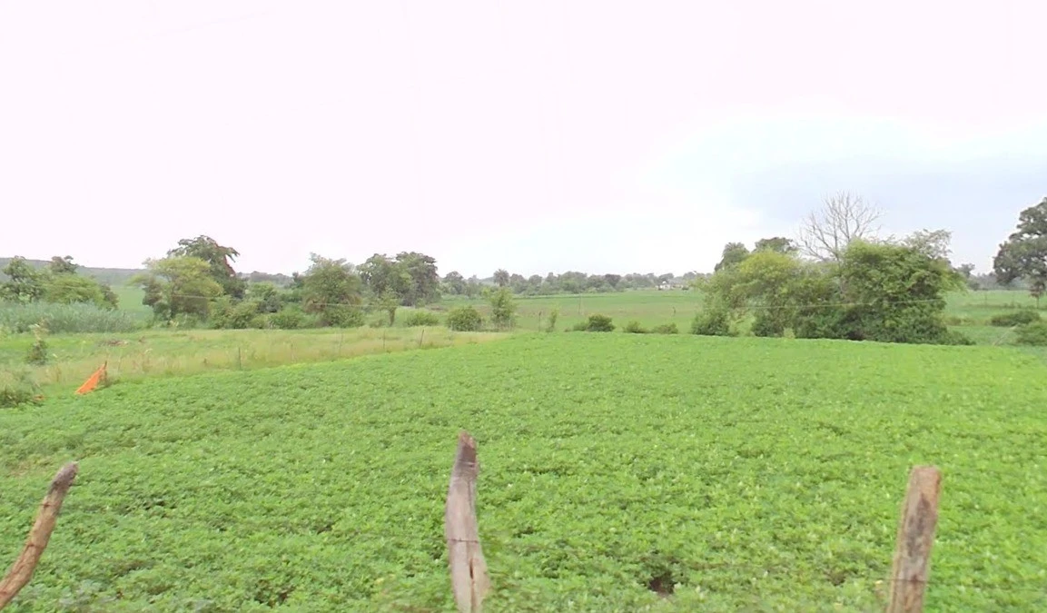 Charka, Madhya Pradesh, India