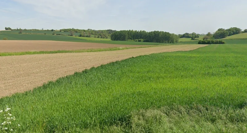 Upda, Madhya Pradesh, India preview 3