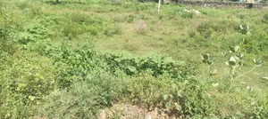 Diggi Malpura Rd, Dada Gurudev Nagar, Sanganer, Jaipur, Rajasthan, India preview 2