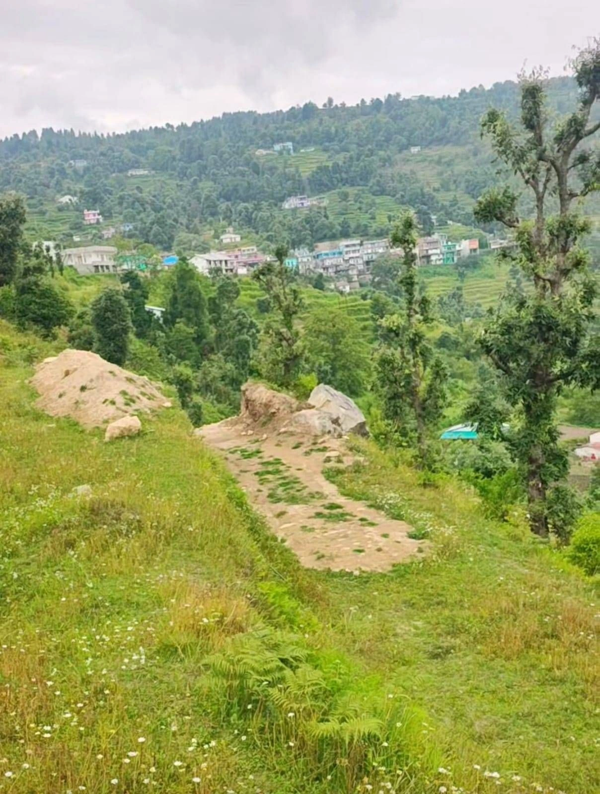 FQ65+WP North Gola Range, Uttarakhand, India