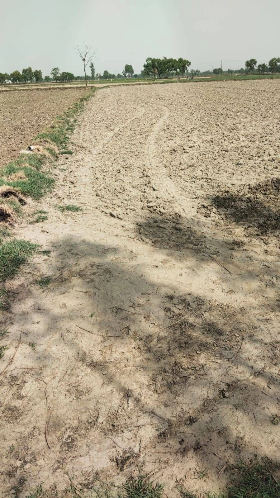 Ajijpur, Uttar Pradesh, India