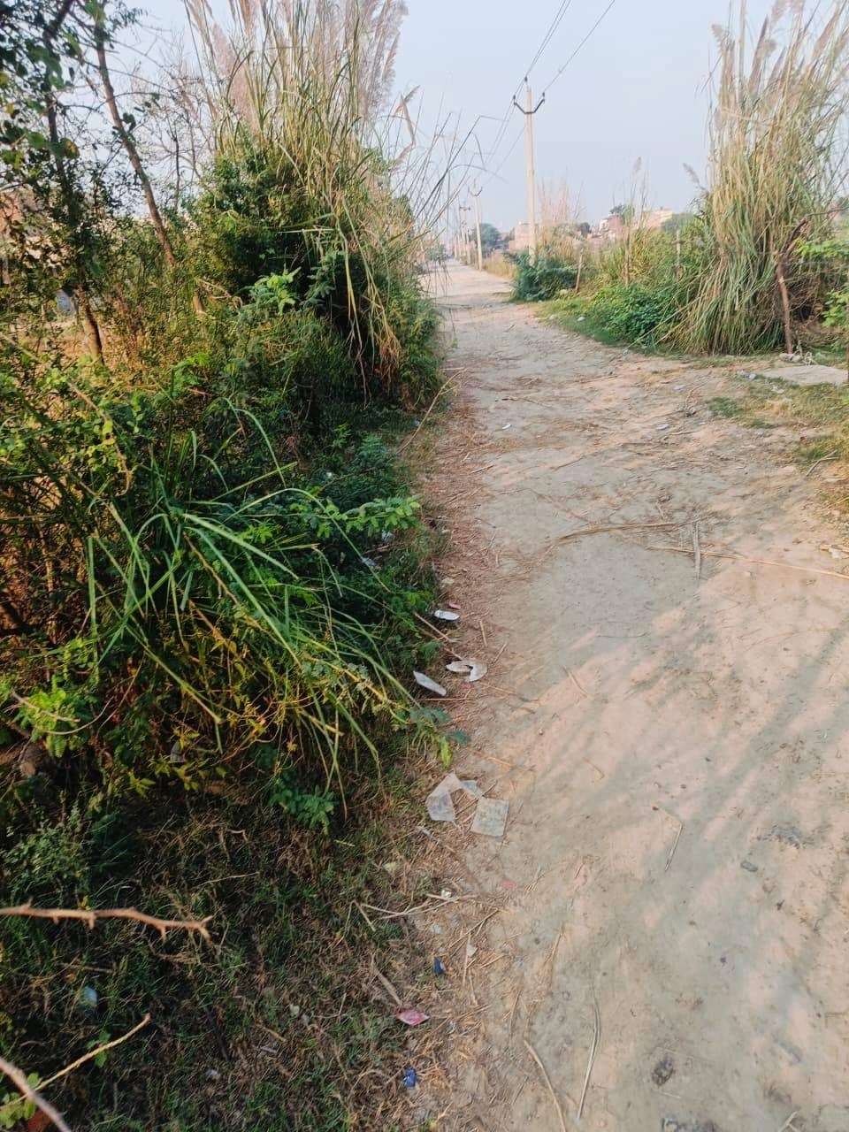 Borpa, Mathura, Uttar Pradesh, India