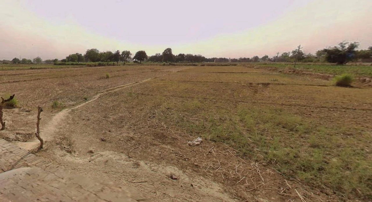 Bijnor, Uttar Pradesh 246701, India