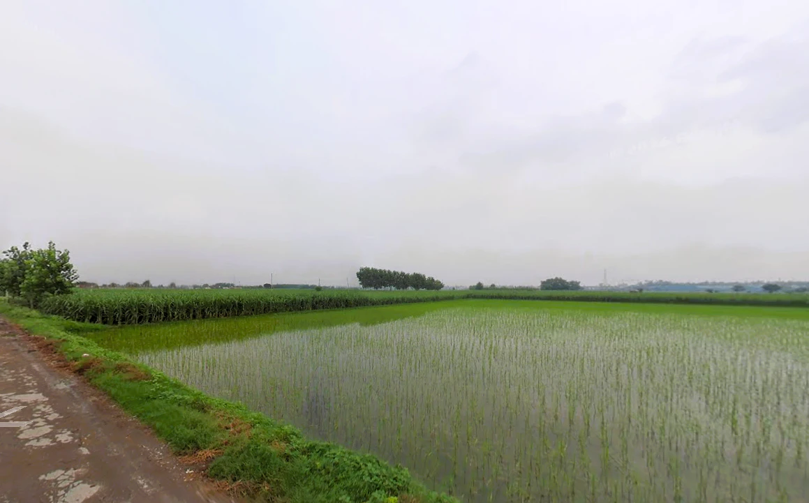 Jagadhri, Haryana, India