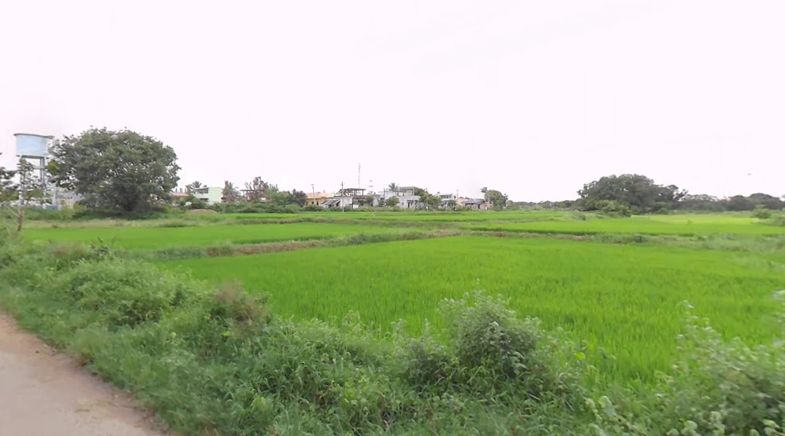 Mucherla, Telangana 509358, India preview 3