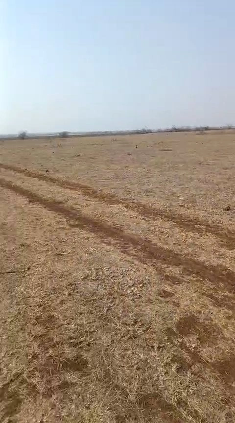 Nigoha, Uttar Pradesh 226302, India preview 2