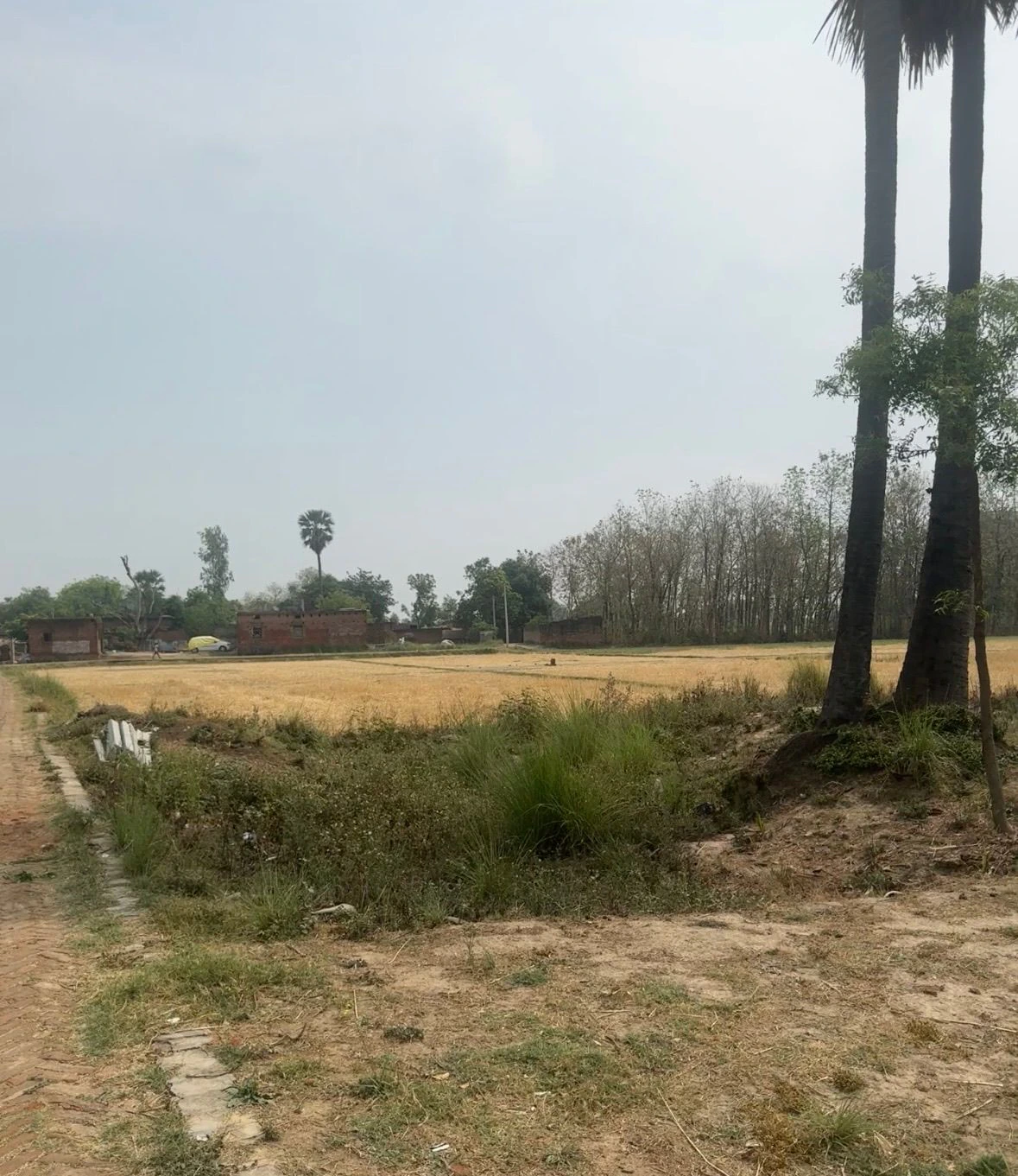 Gehundi, Kasimabad, Ghazipur, Uttar Pradesh, India