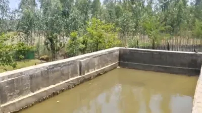 Umariya, Madhya Pradesh 483773, India preview 3