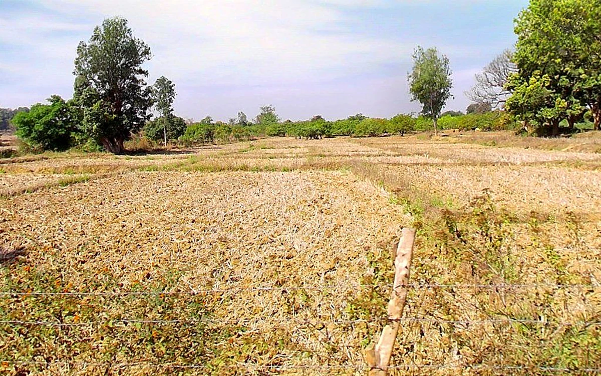 Marichamal, Odisha 763008, India