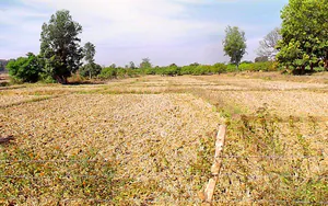 Marichamal, Odisha 763008, India preview 3