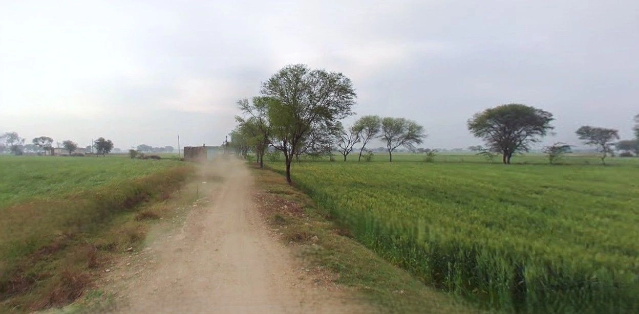 Farukh Nagar, Haryana 122506, India