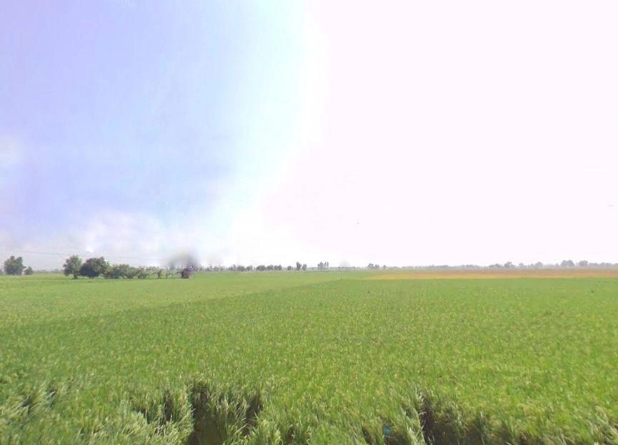 Patran, Punjab 147105, India