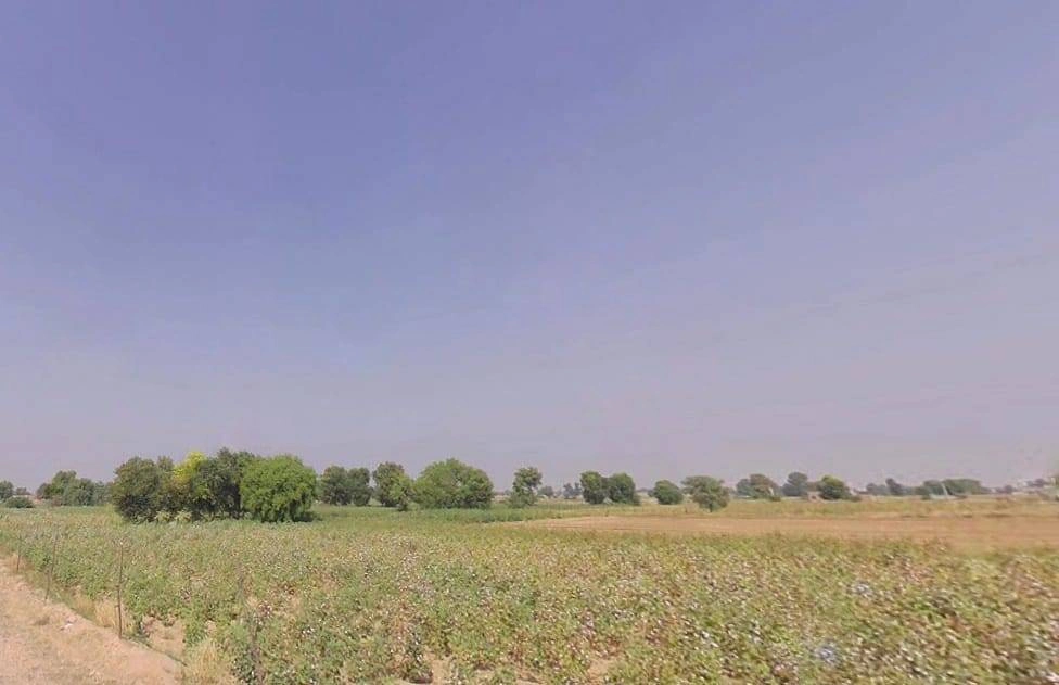 Siyasar Chaugan, Rajasthan, India