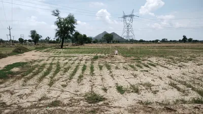 Lalpur, Uttar Pradesh 244924, India preview 2