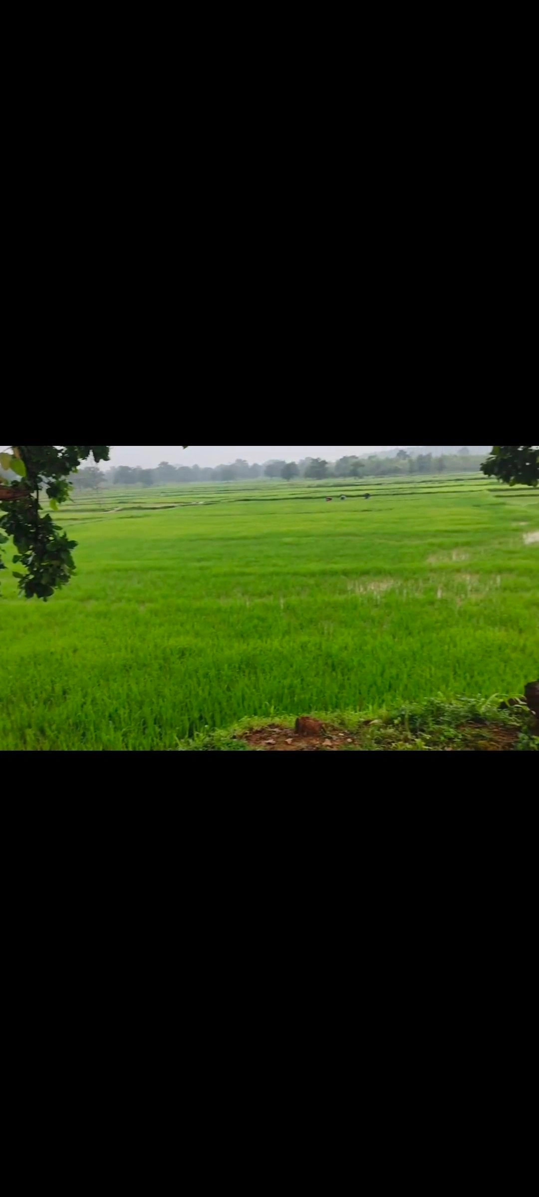 QC2P+M8C, Koraput, NH 326, Boipariguda, Odisha 764043, India - Photo 2