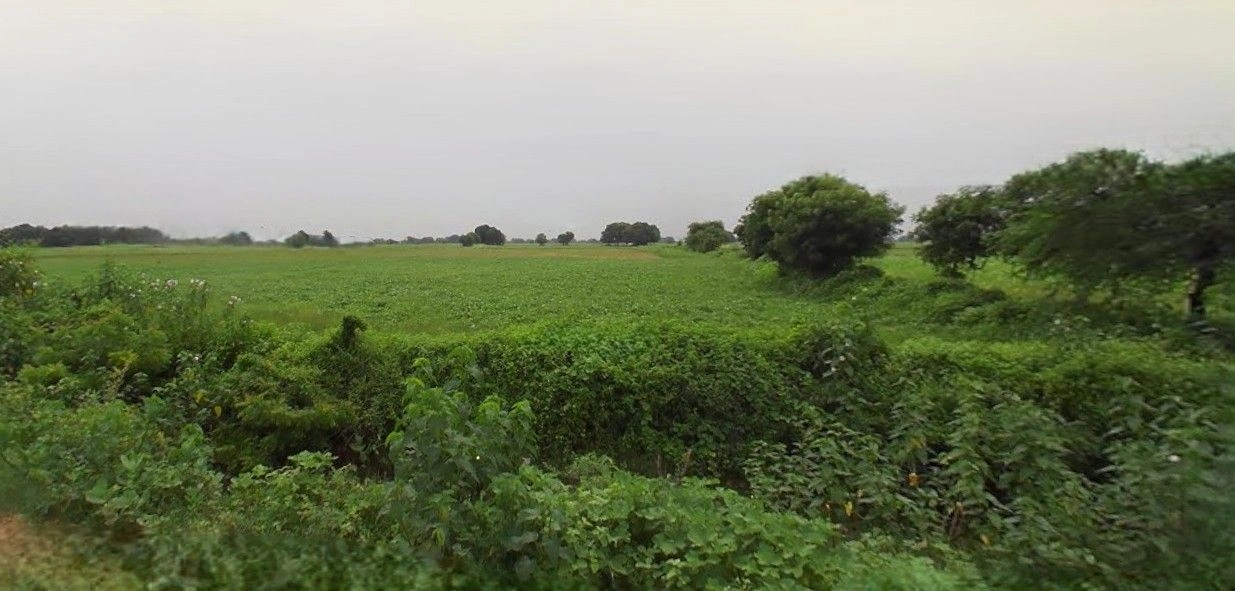 Mohanlalganj, Uttar Pradesh 226301, India