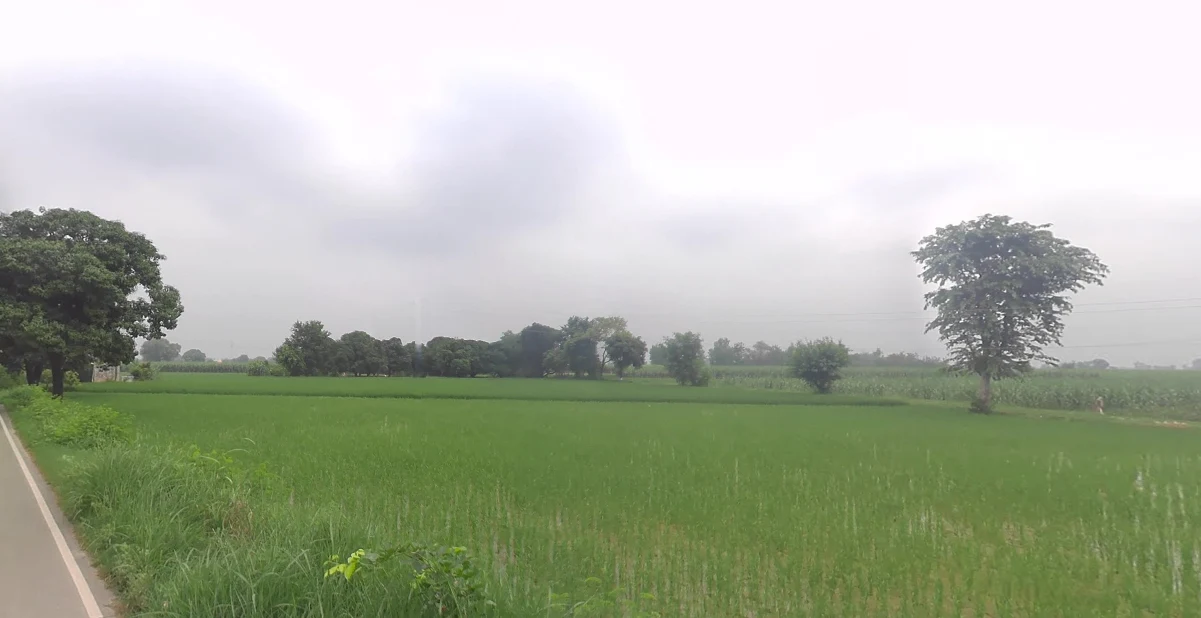 Bharra, Uttar Pradesh 203405, India