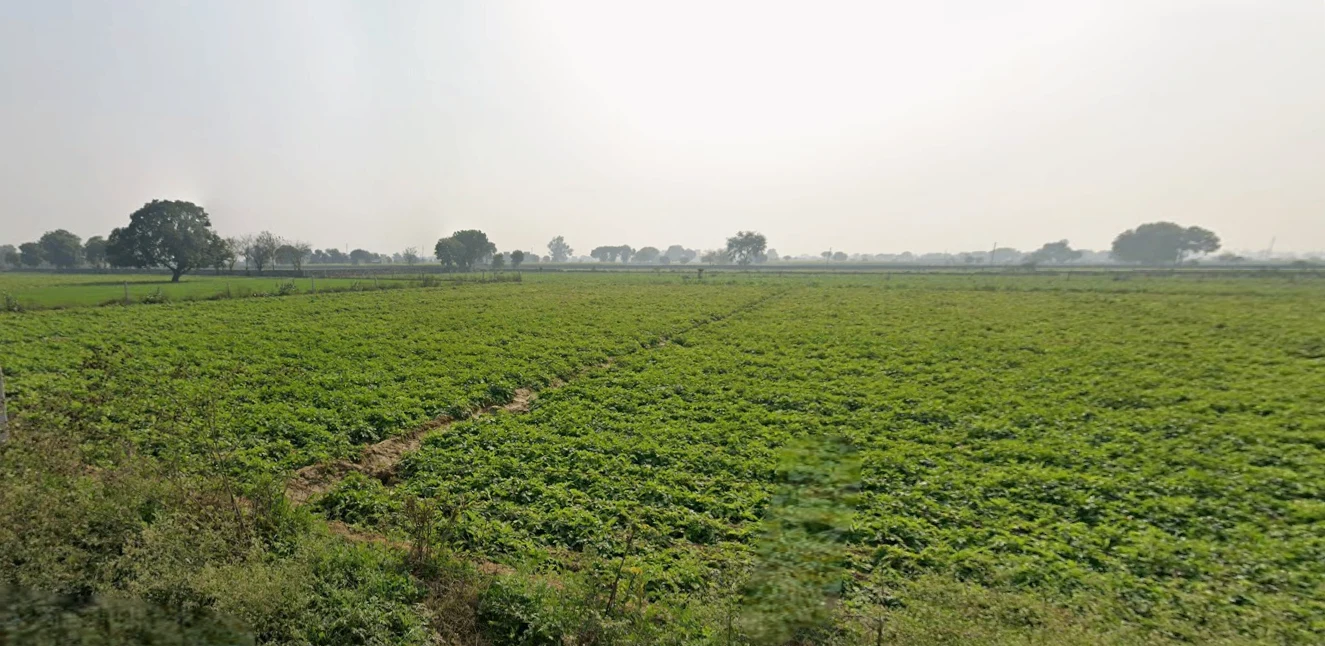 Panwari Rd, Panwari, Uttar Pradesh 282007, India