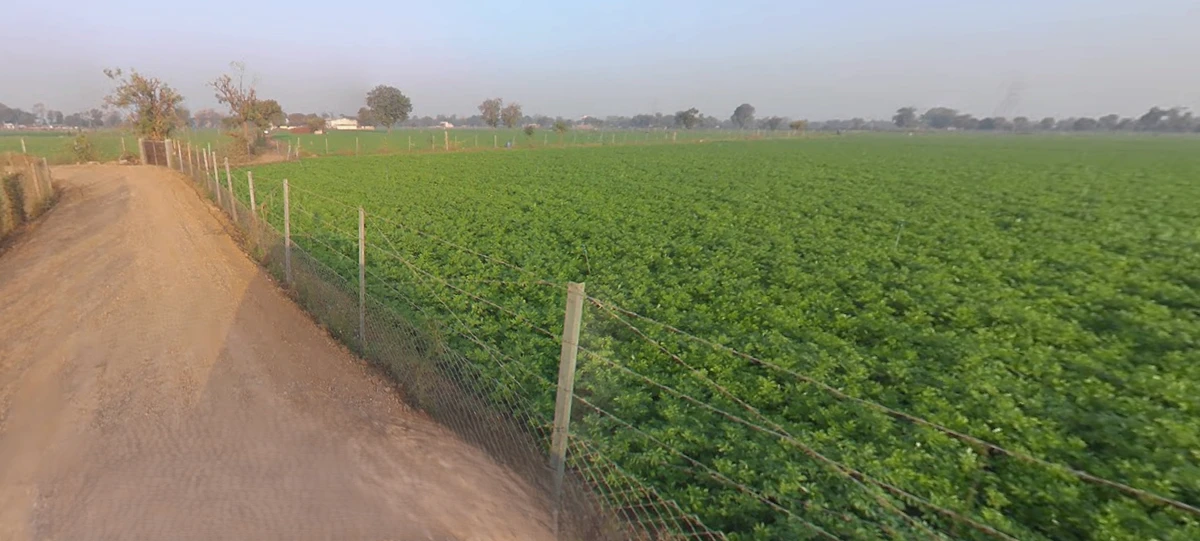 34V7+CX Sokali, Gujarat, India