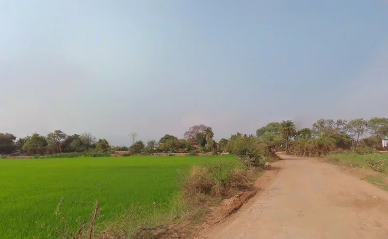 Tipani, Chhattisgarh 493770, India preview 2
