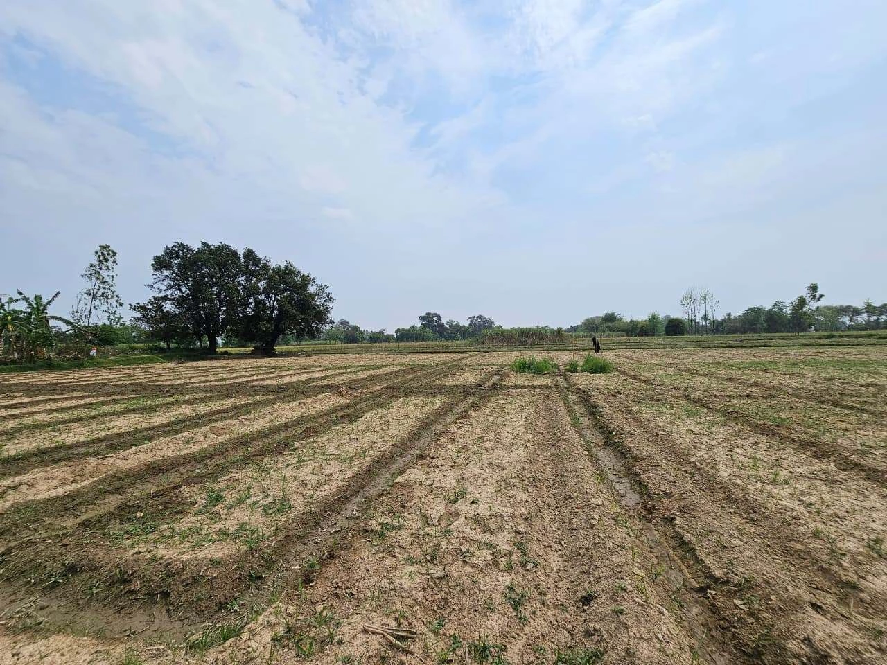 79R7+8V5, Bachhgaon, Uttar Pradesh 283204, India
