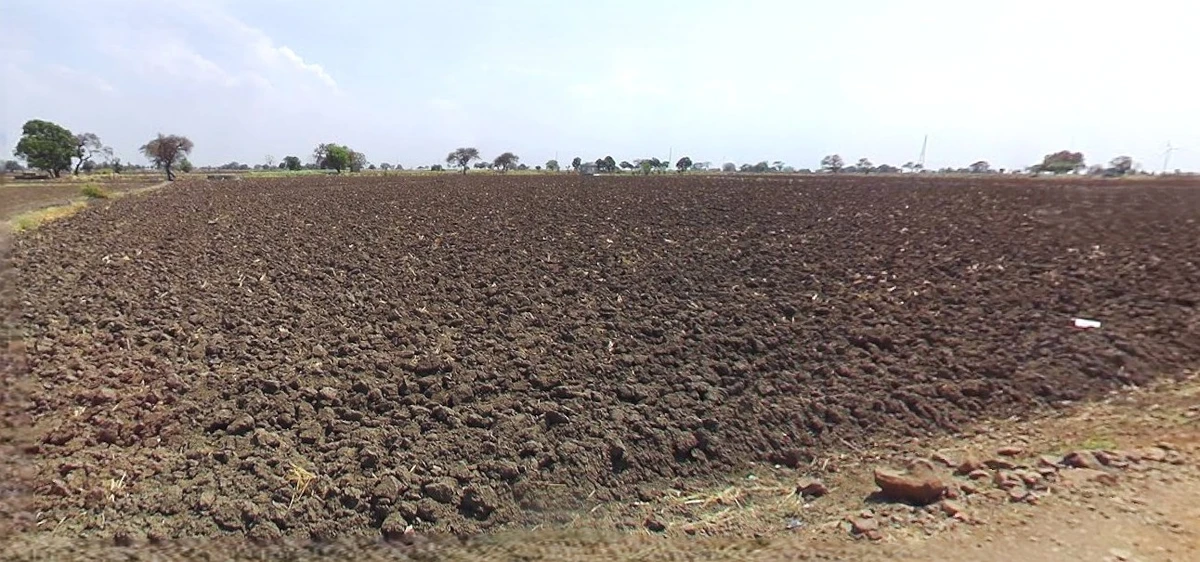 Khandwa, Madhya Pradesh 450001, India