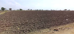 Khandwa, Madhya Pradesh 450001, India preview 3