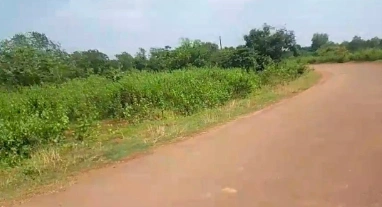 Kosagumuda, Nabarangapur, Odisha 764061, India