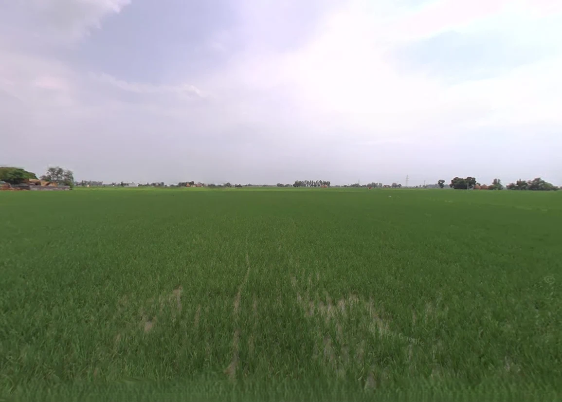 Bargodam, Kalka, Haryana 133302, India