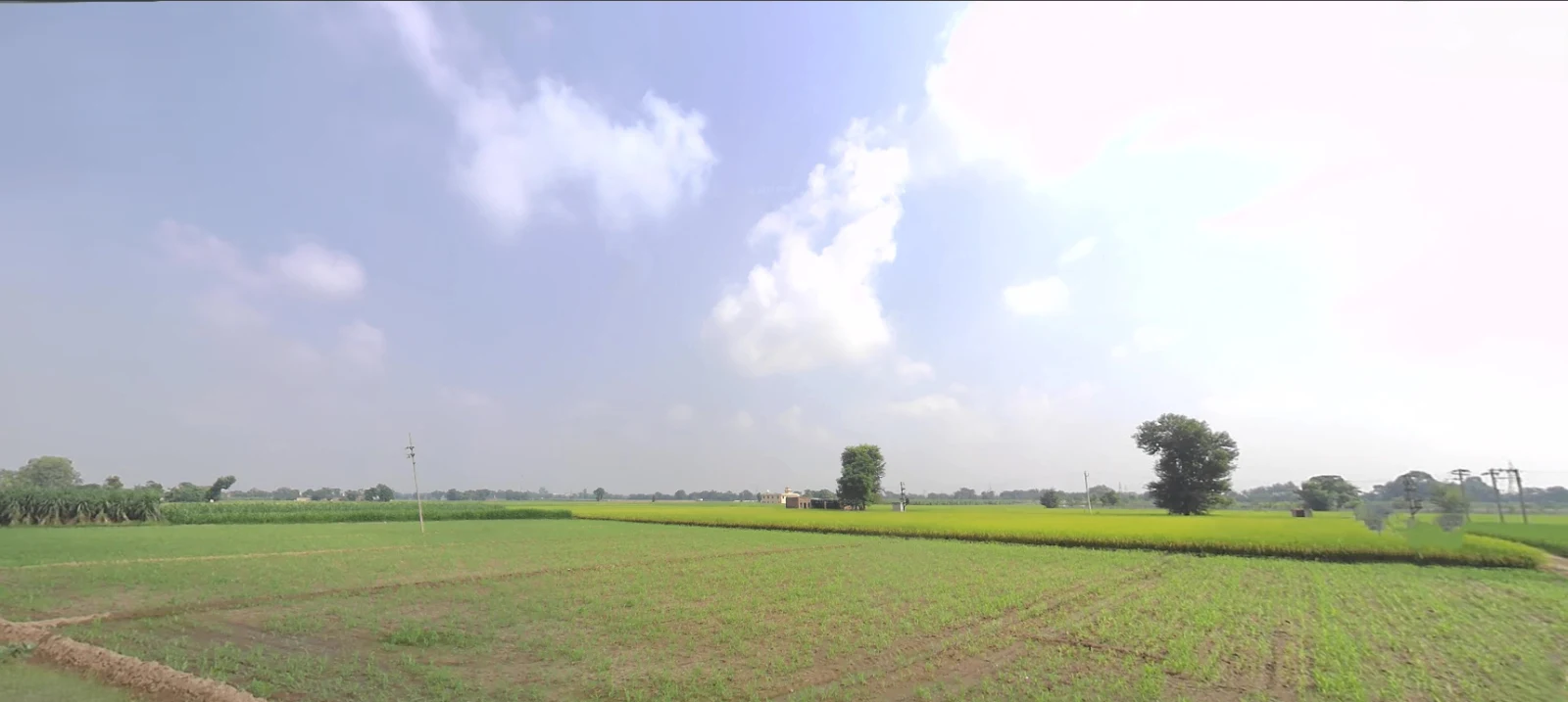 XH83+728, Mangal Nagar, Jwala Nagar, Saharanpur, Uttar Pradesh 247001, India