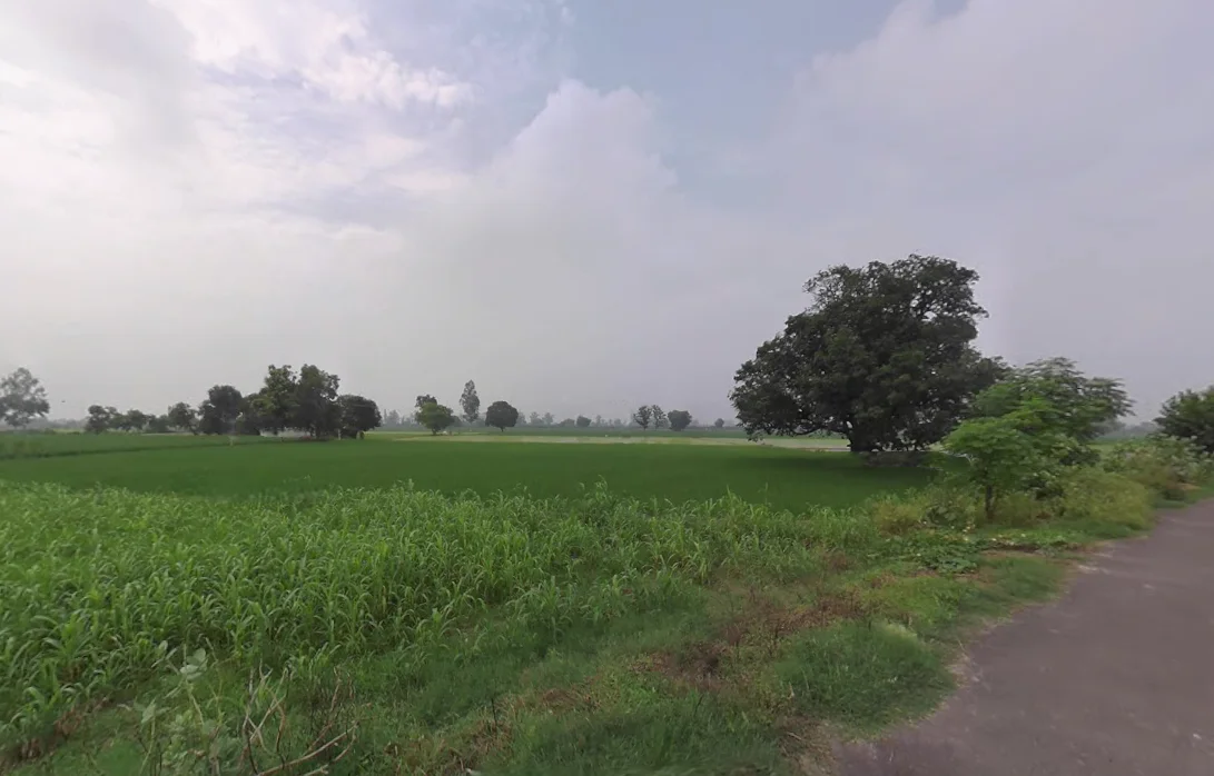 Gharaunda, Haryana 132114, India preview 3