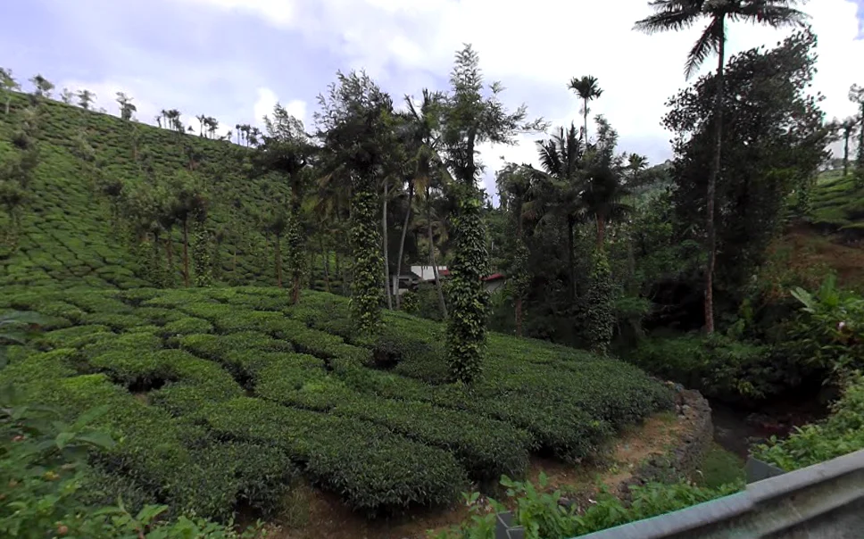 Kumily, Kerala, India preview 2