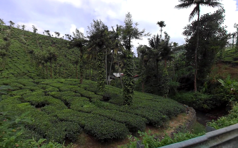 Kumily, Kerala, India