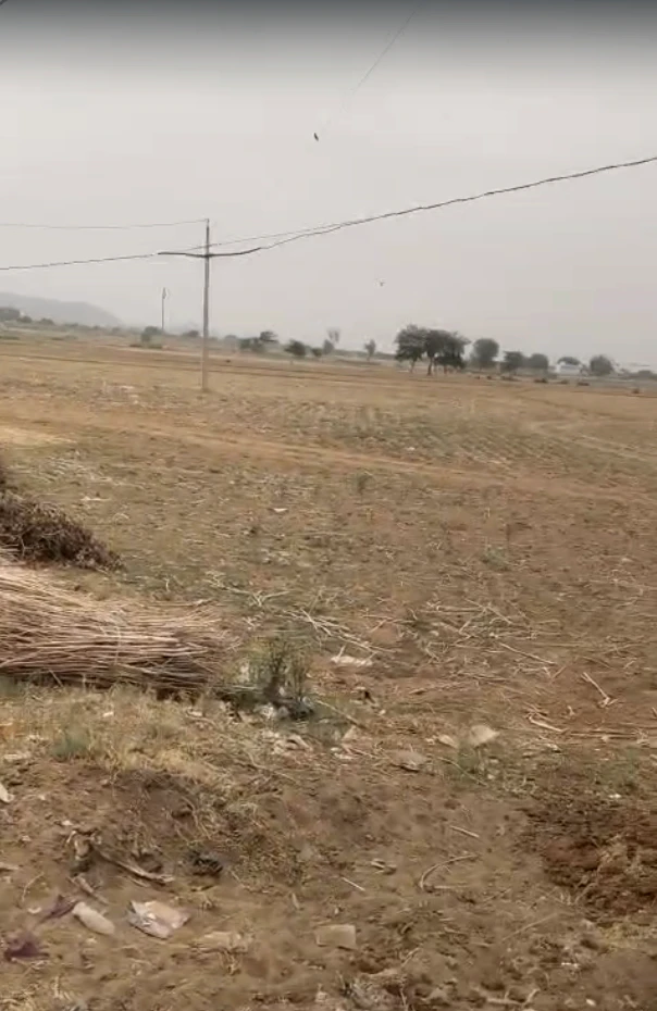 JXCF+H3 Dhanota, Rajasthan, India