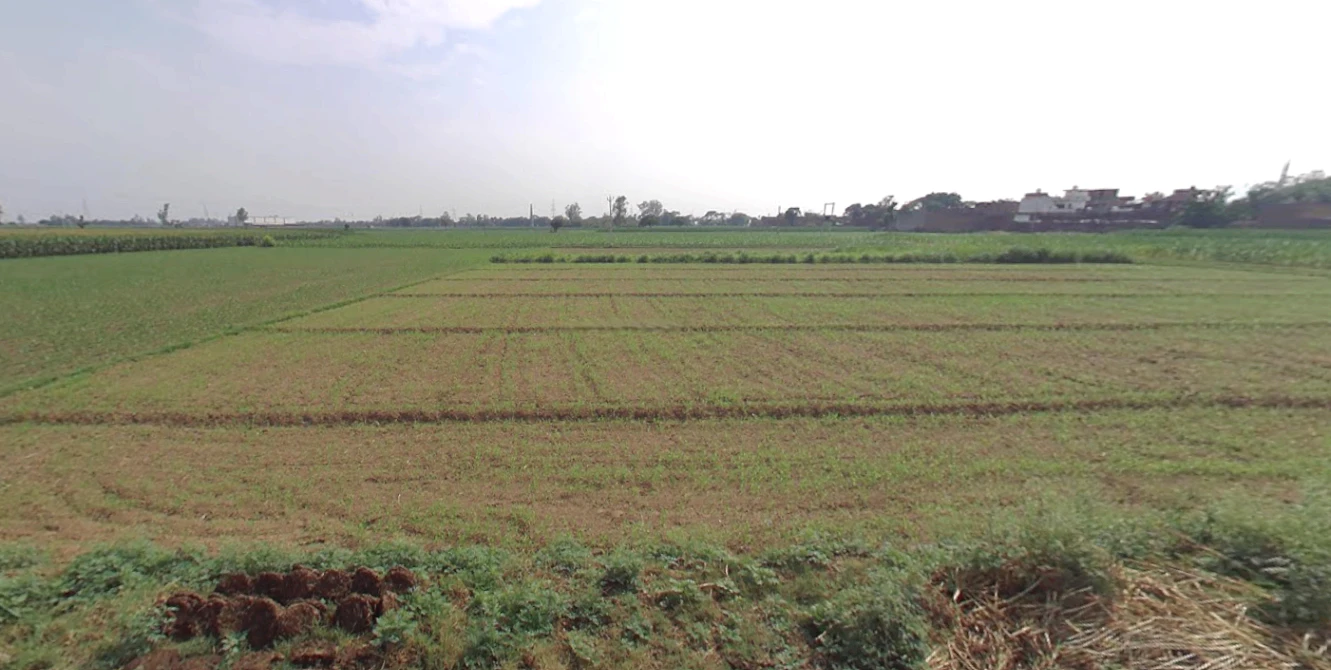 Dhanaura, Uttar Pradesh 244231, India
