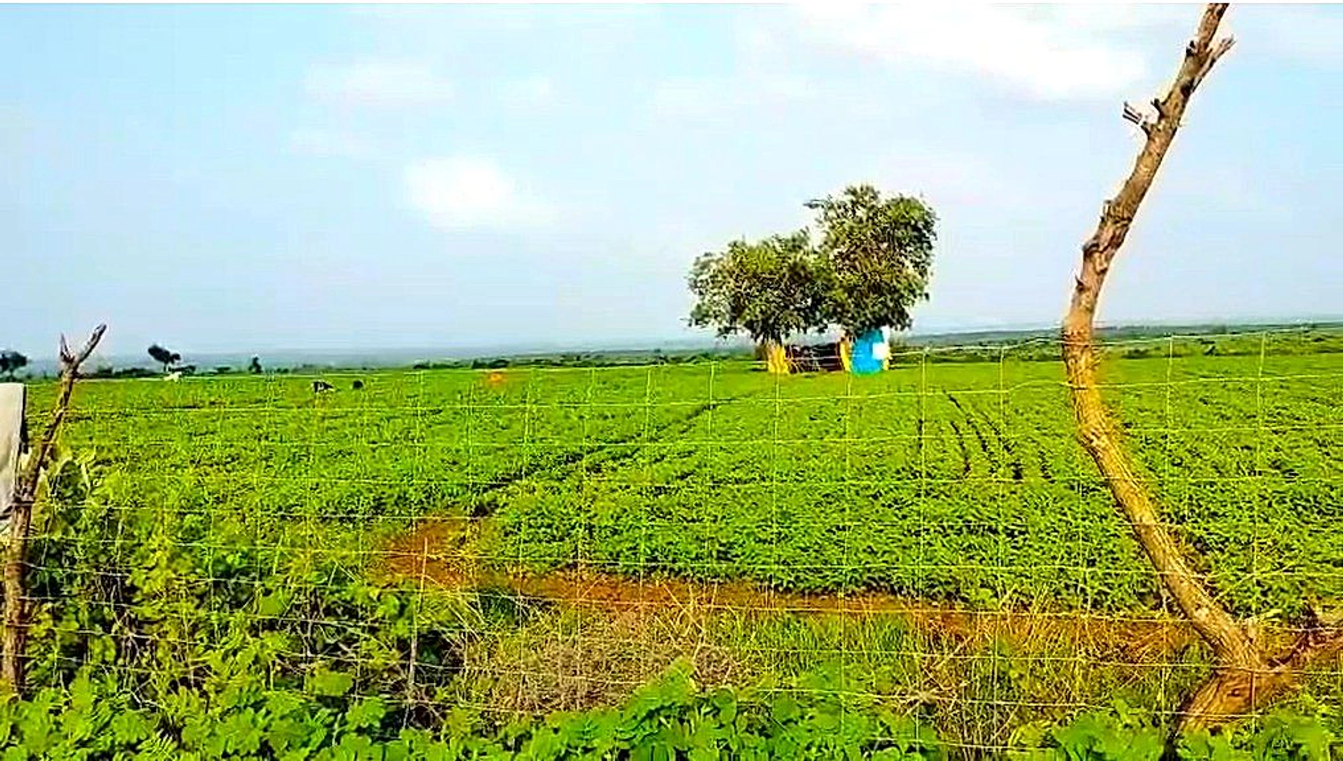Khajuri, Madhya Pradesh, India