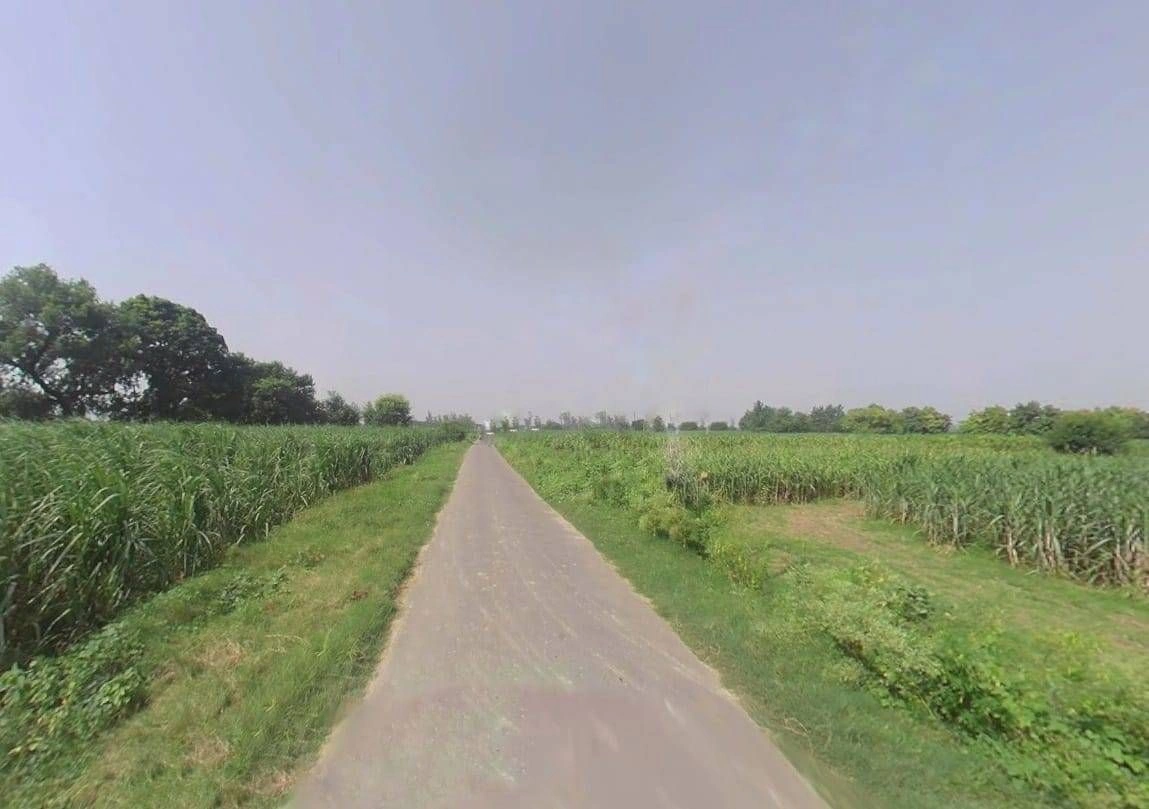 2420, Khiwai, Uttar Pradesh 250344, India