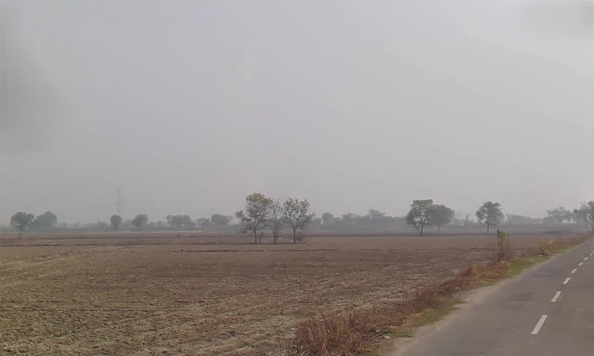 Sampla, Haryana 124501, India