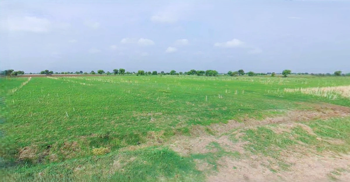 Anupgarh, Rajasthan 335701, India