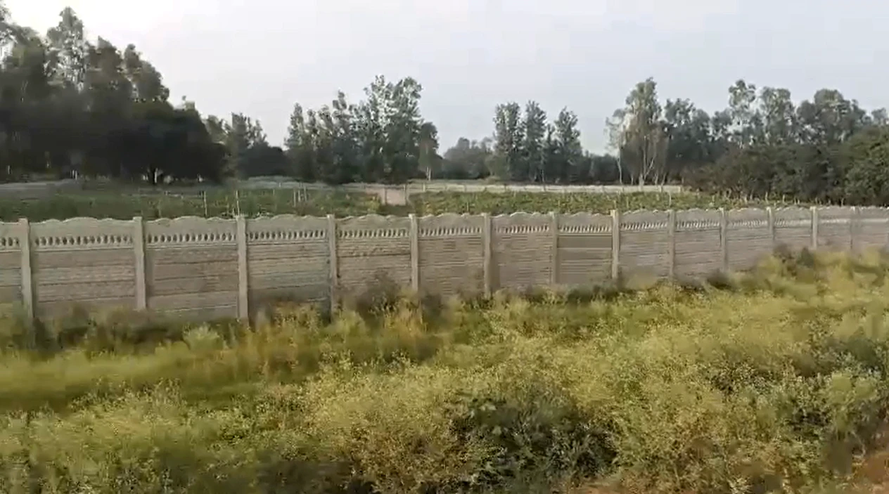 Berka Road, Gurugram, Akbar Colony, Sector-31, Sohna, Dhunela, Haryana 122103, India
