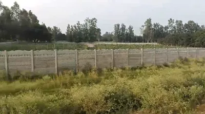 Berka Road, Gurugram, Akbar Colony, Sector-31, Sohna, Dhunela, Haryana 122103, India preview 2