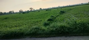 Deeg, Rajasthan 321203, India preview 2